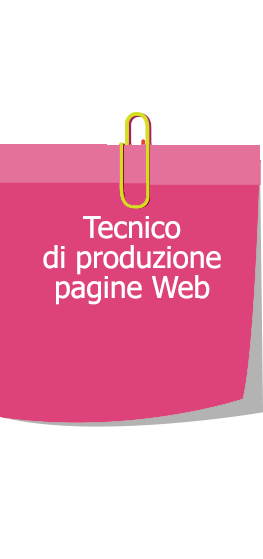 tecnico web